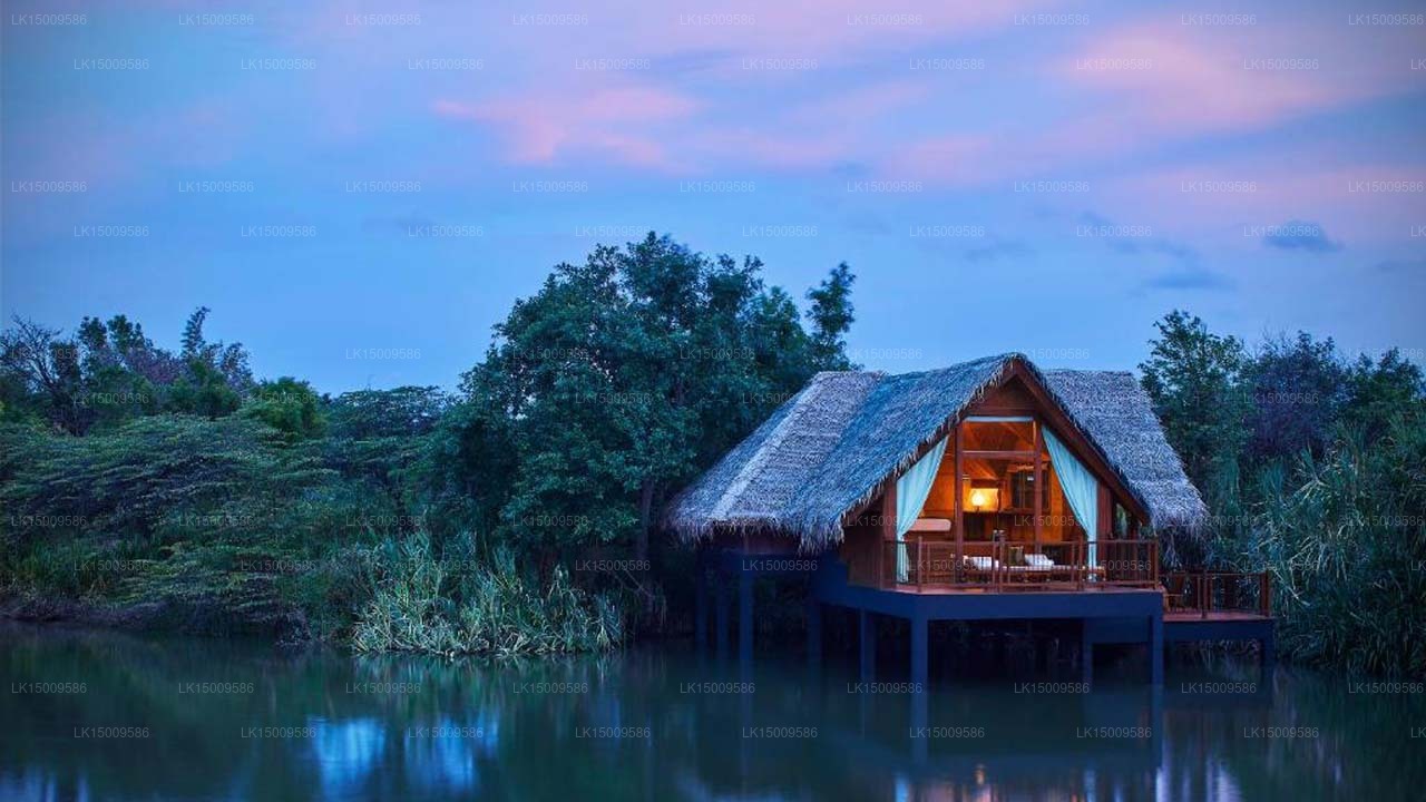 Jetwing Vil Uyana, Sigiriya