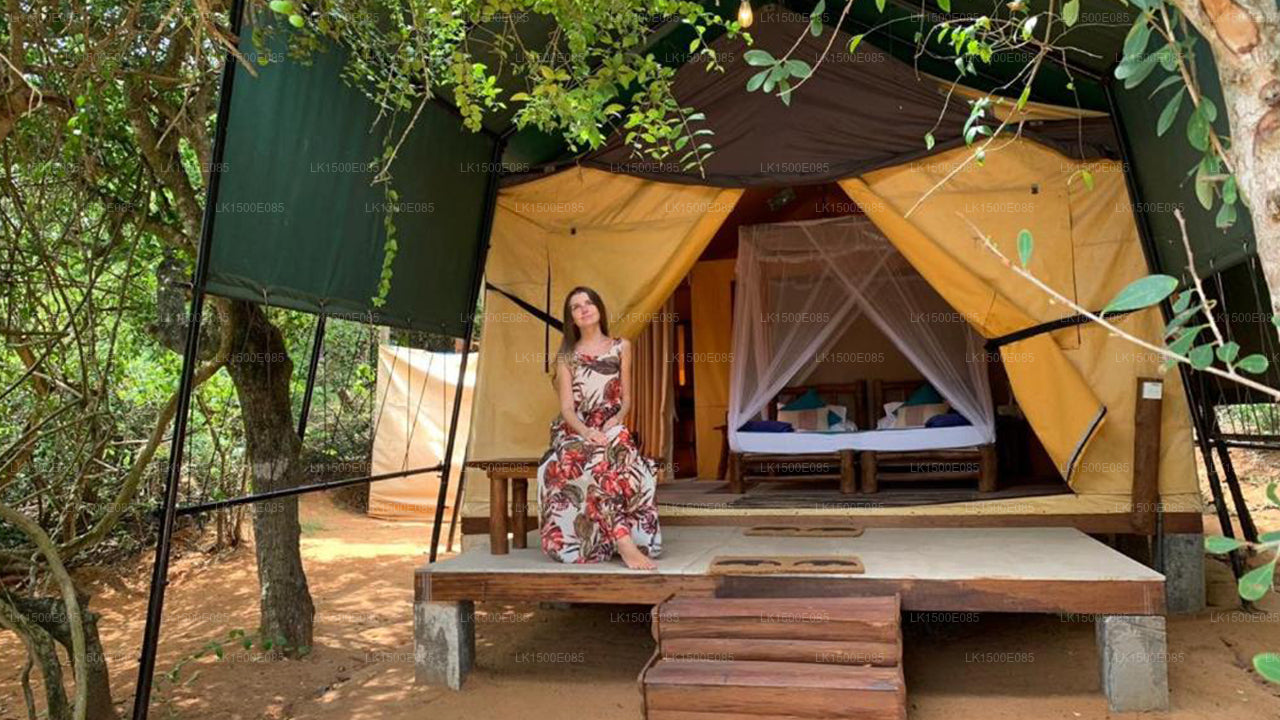 Bagsiden af Beyond - Safari Lodge, Yala