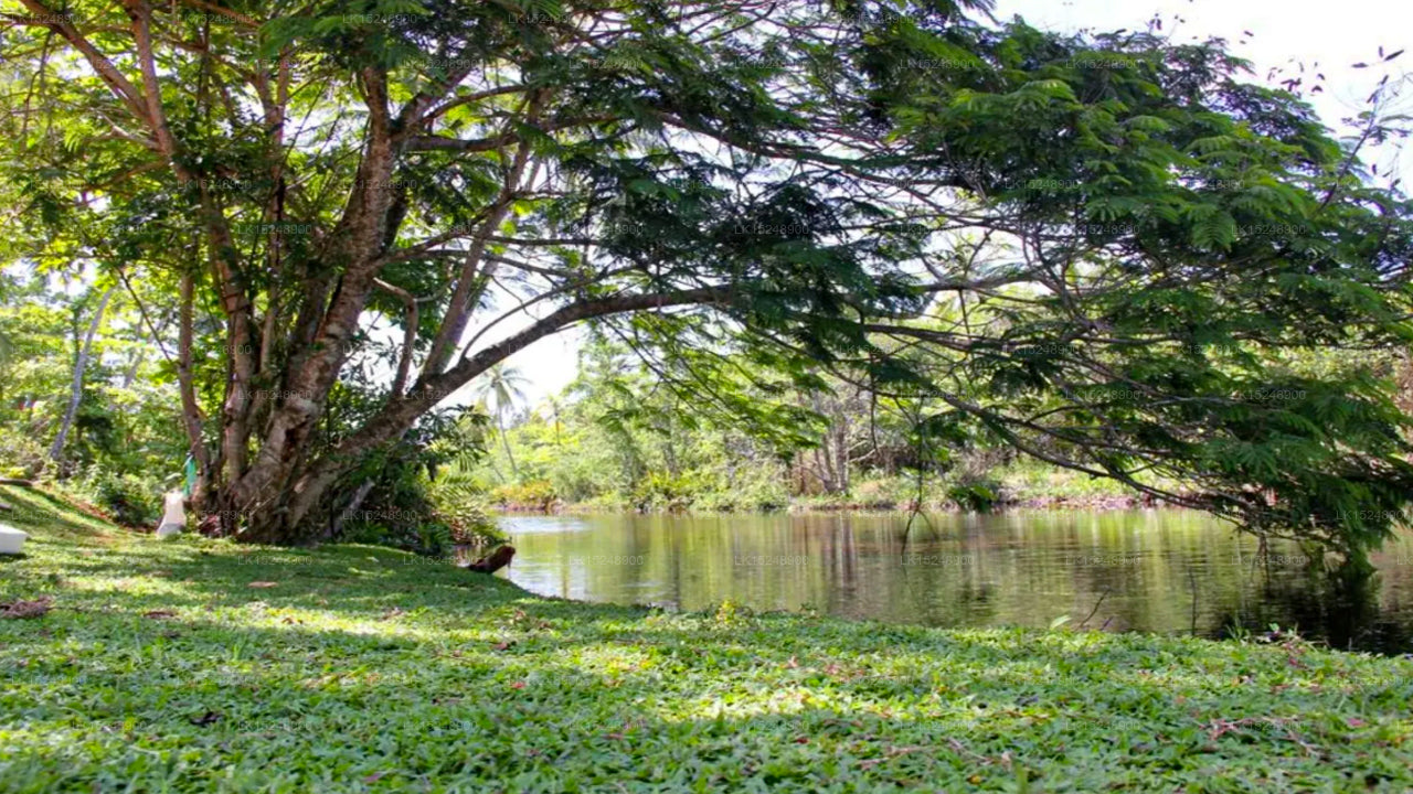 Devi Canal Resorts & Spa, Bentota