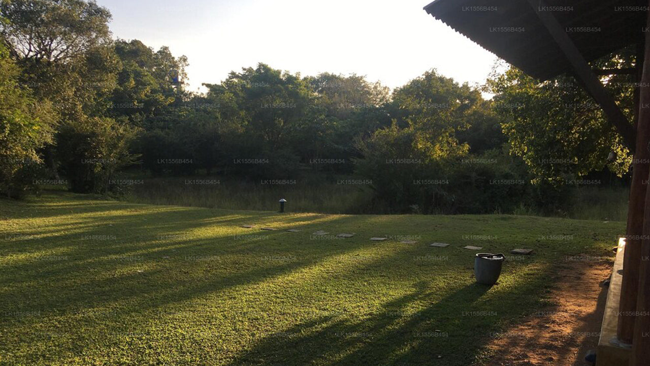 Far Cry Forest Retreat