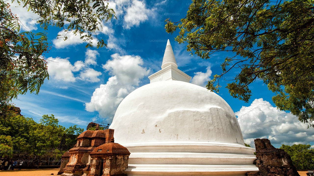 Polonnaruwa Ancient City Guided Tour with Entrance Tickets
