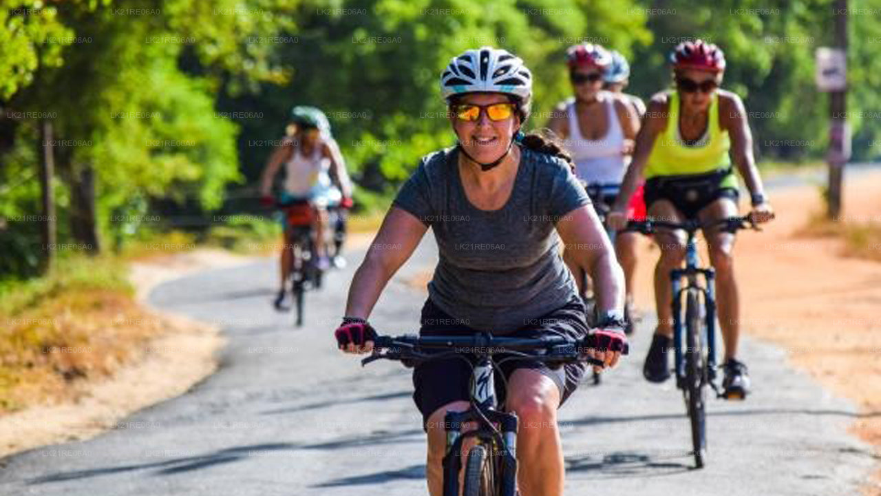 Cykeludlejning fra Galle