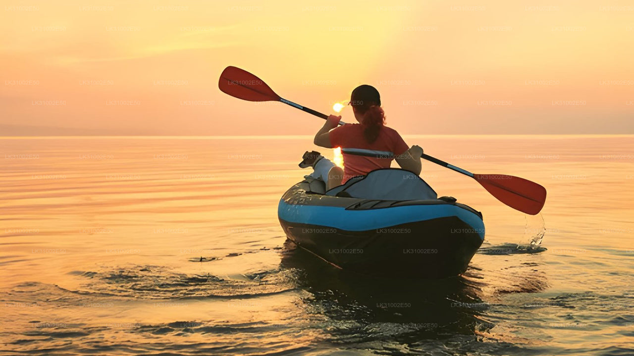 Lagoon Kayaking from Mawella