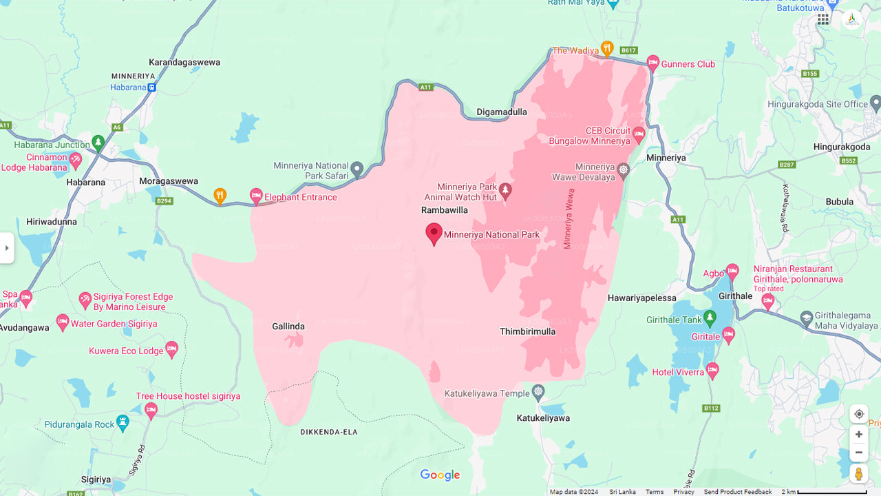 Minneriya Nationalpark Private Safari