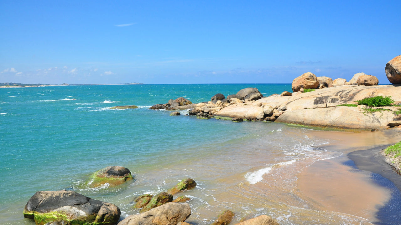 Kumana Landskabs- og Dyrelivstur fra Arugambay