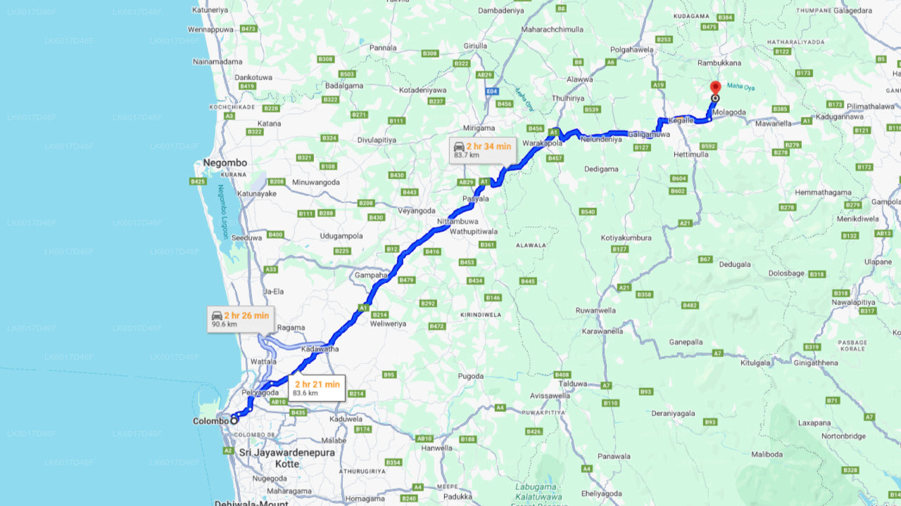 Millennium Elephant Foundation fra Colombo