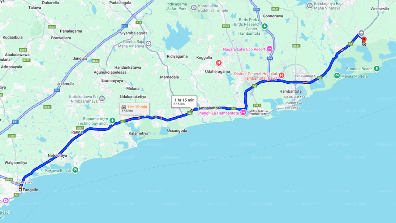 Bundala National Park Safari fra Tangalle