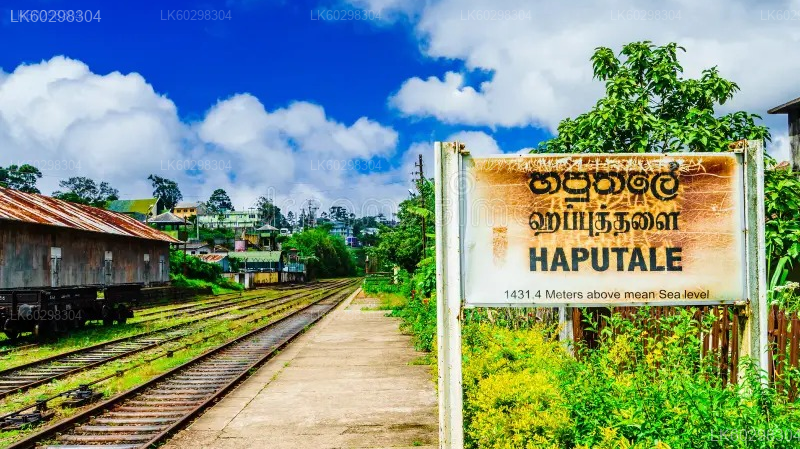 Adisham Bungalow & Thangamale Bird Sanctuary from Haputale