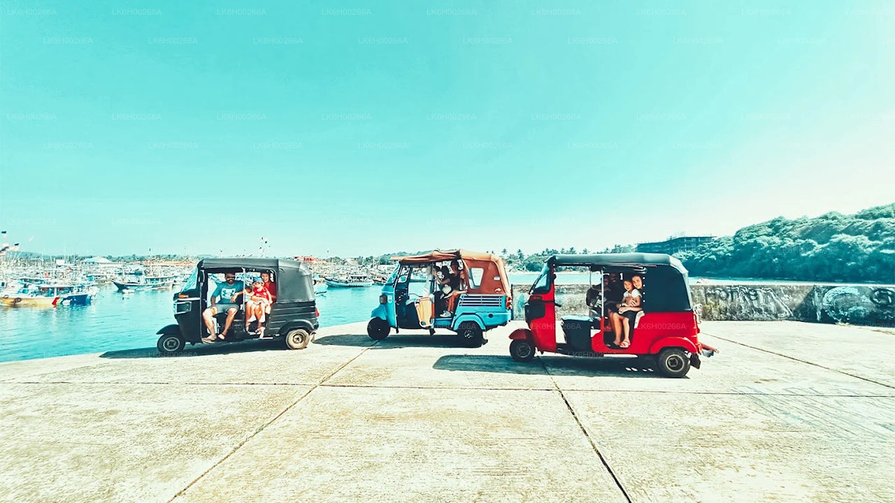 Sydkystens Tuk Tuk Safari fra Galle