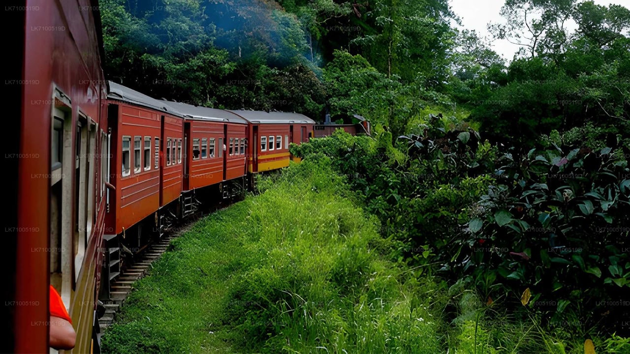 Togtur fra Ambewela til Ella (tog nr. 1005/1015)