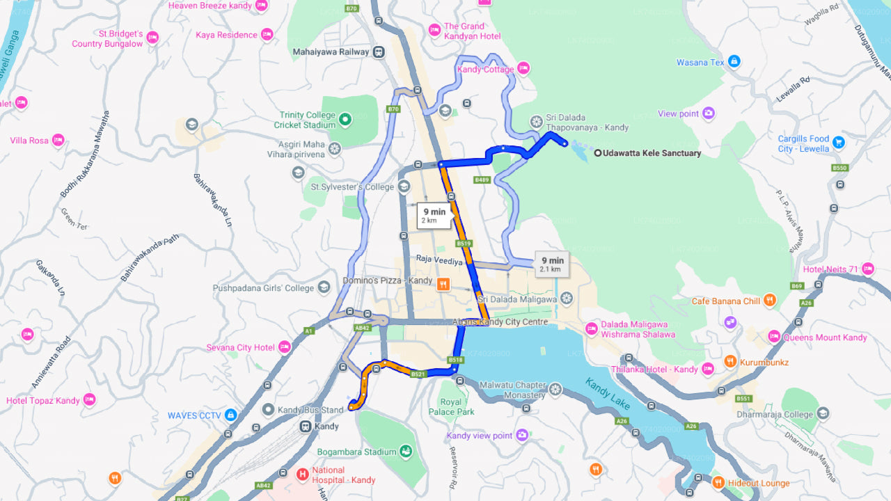Vandretur til Udawattakele-skovreservatet fra Kandy