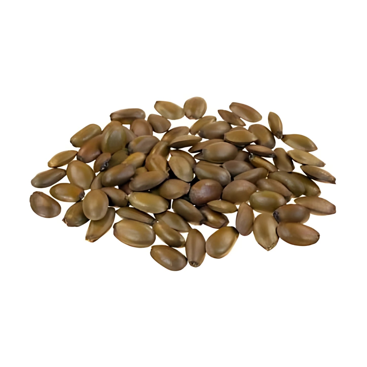 Lakpura® Vildhøstede Soursop Frø Pakke