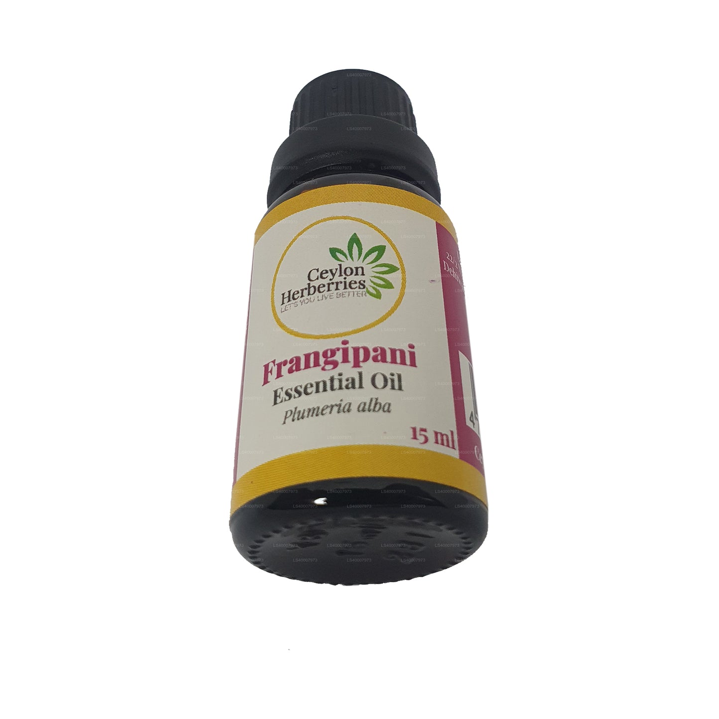 Ceylon Herberries Frangipani æterisk olie (Plumeria alba) 15ml