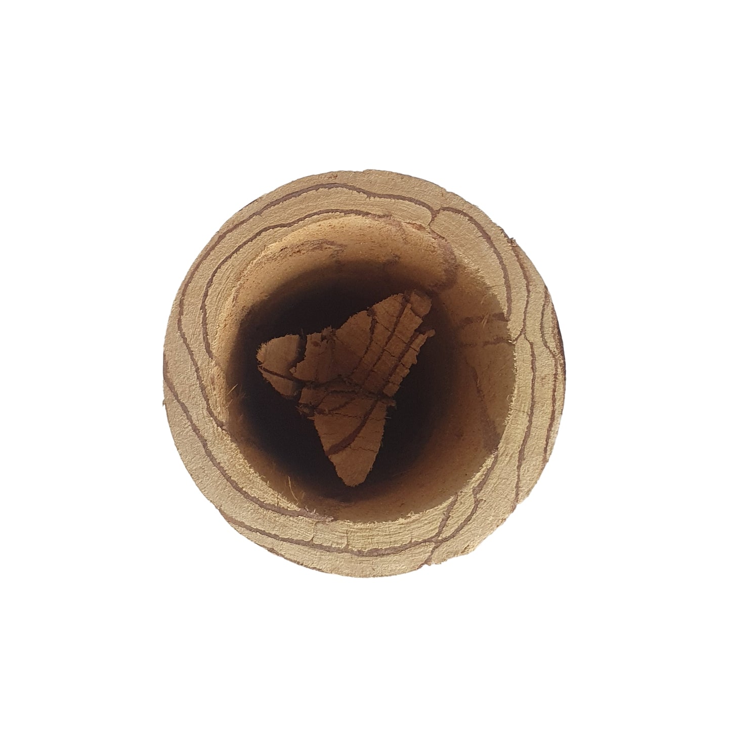 Lakpura® Kothala Himbutu (Salacia reticulata) Krus