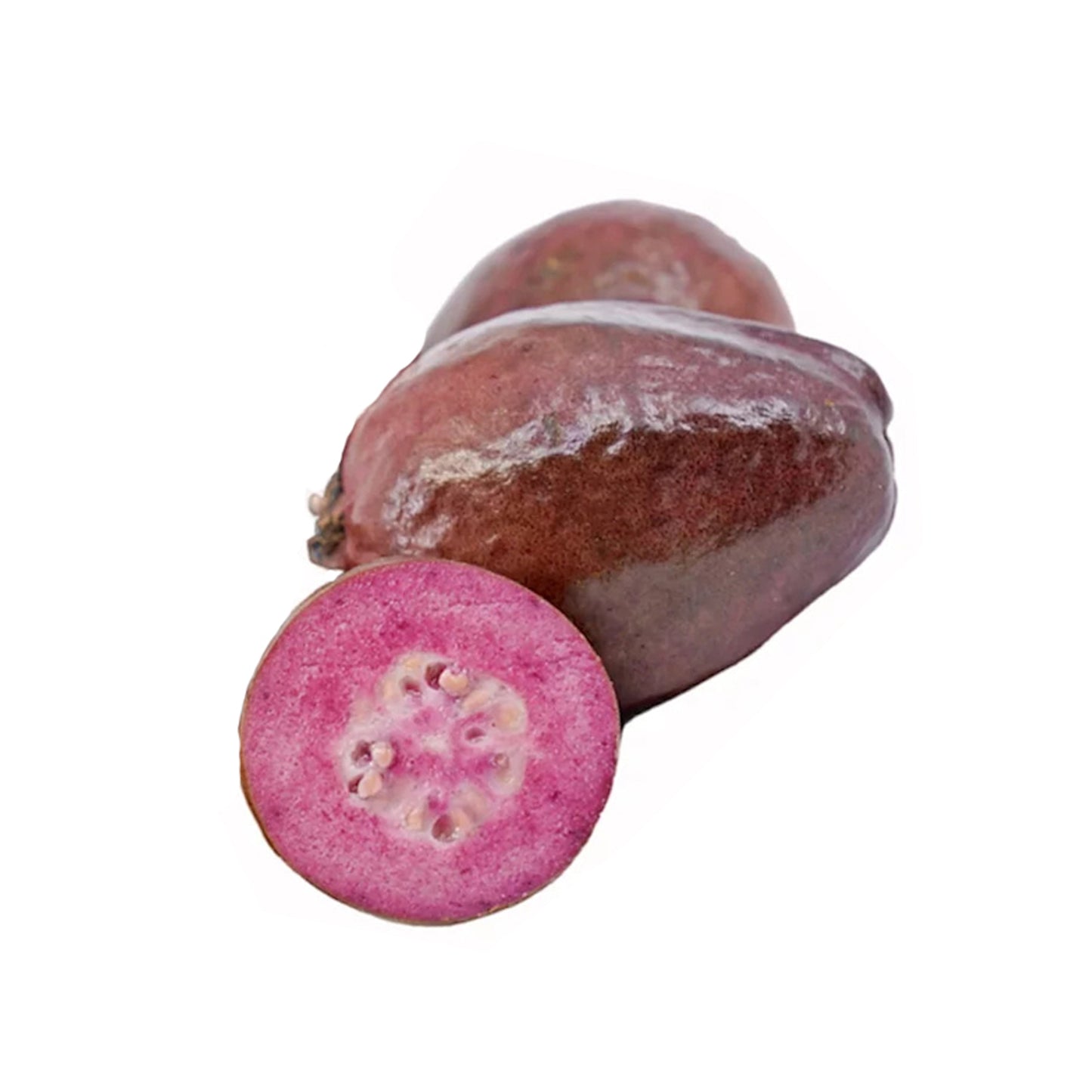 Lakpura lilla guava frugtplante