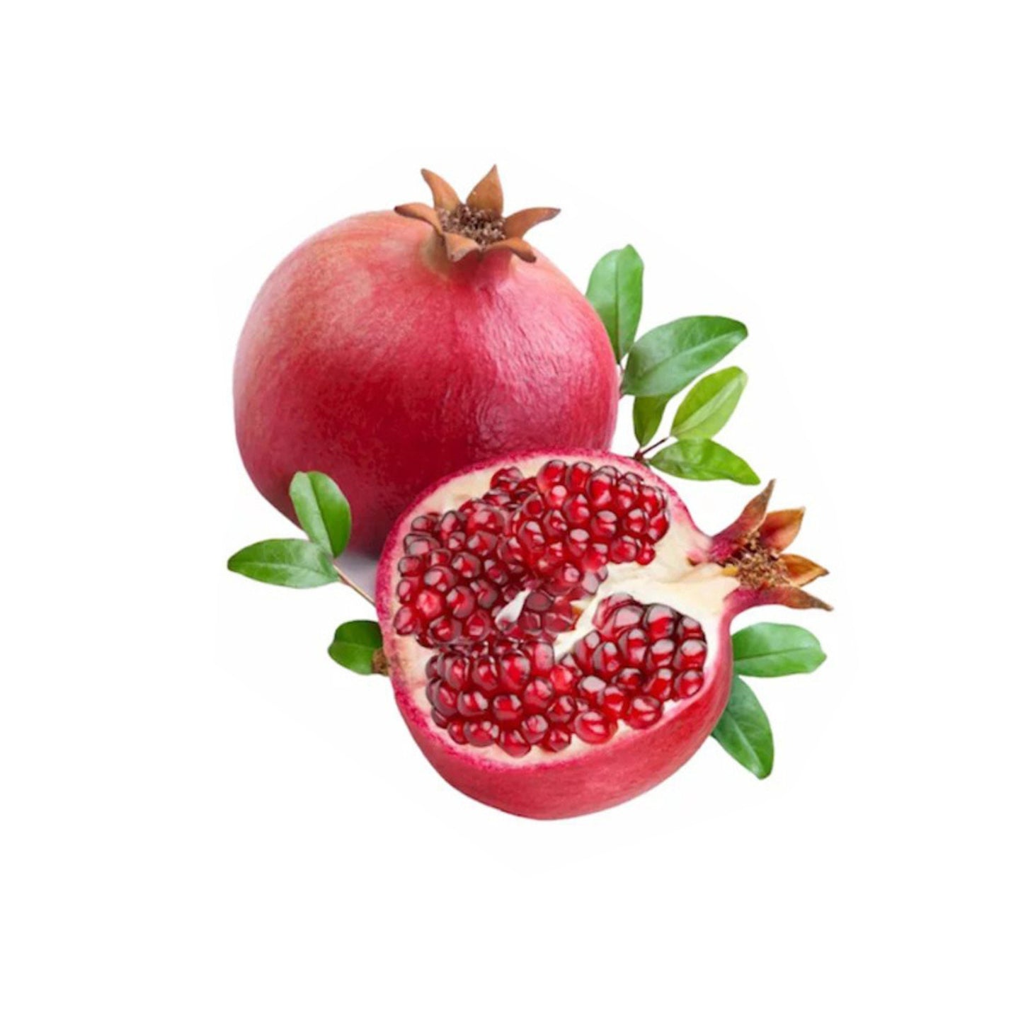 Lakpura® Indian Red Pomegranate Plant