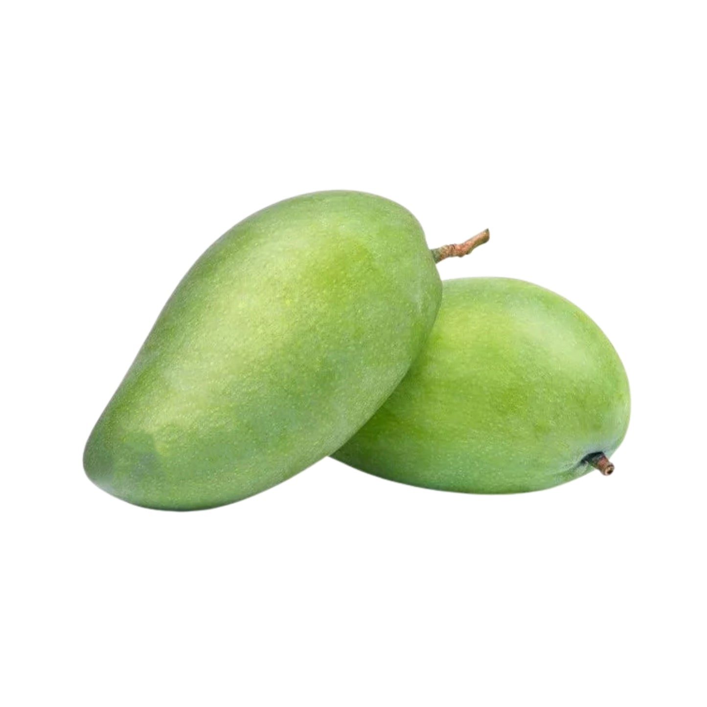 Lakpura® Vellaikolumban Mangoplante