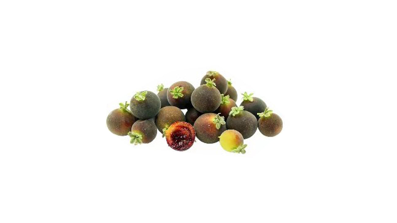 Lakpura Gooseberry Layered Plant