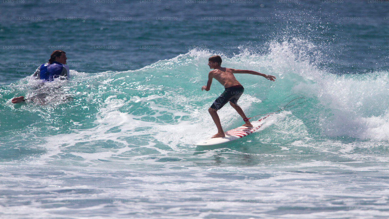 Surfing fra Ahangama