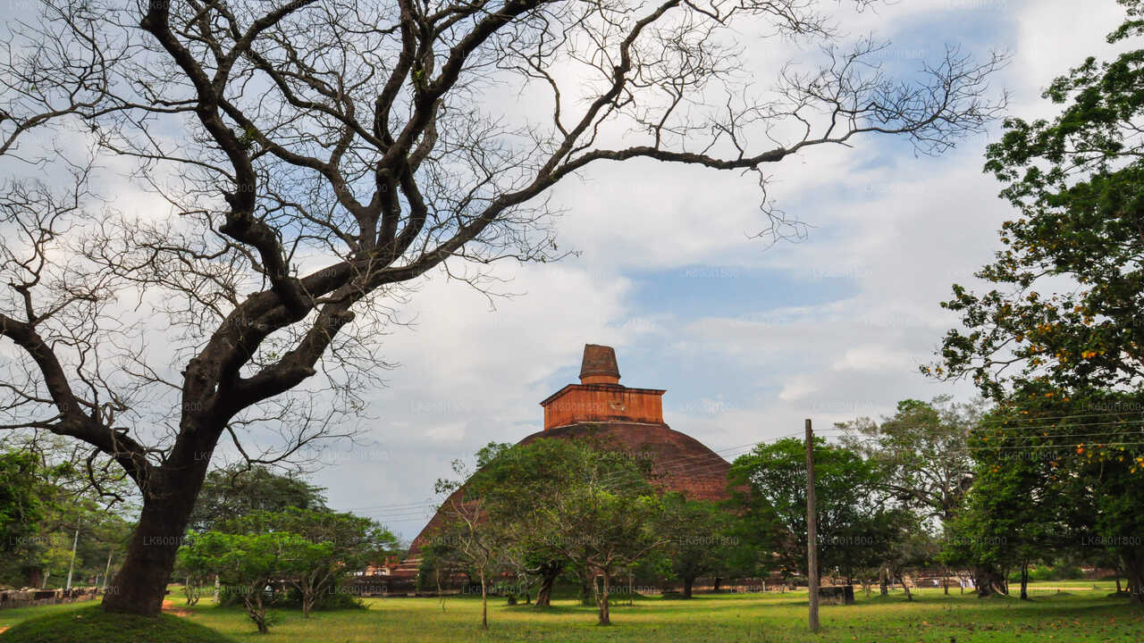 Anuradhapura buddhistiske ikoner tur fra Dambulla