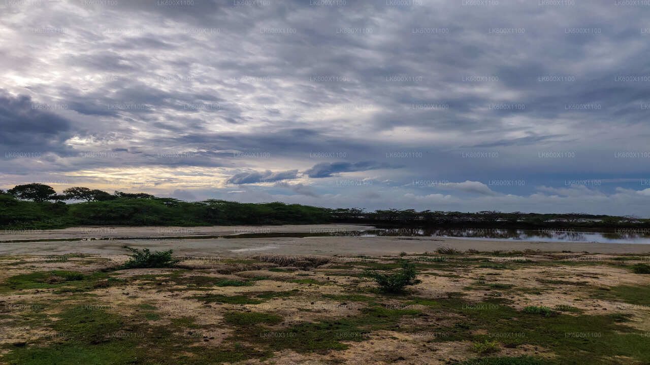 Bundala National Park Safari fra Hikkaduwa