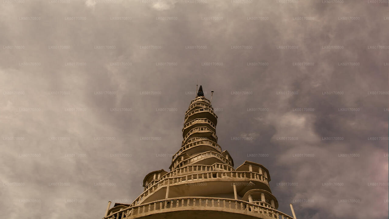 Udforsk Ambuluwawa Biodiversity Complex fra Kandy