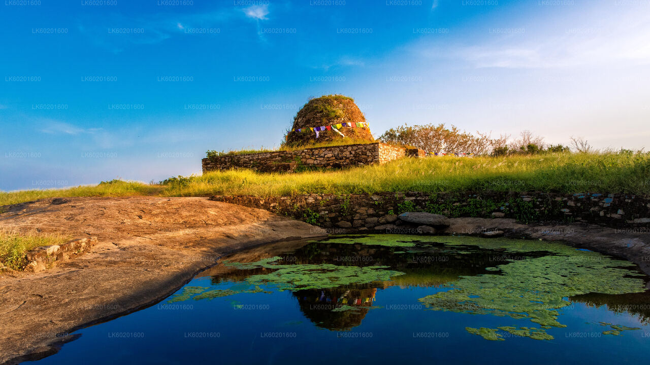 Yapahuwa Ancient Kingdom fra Sigiriya