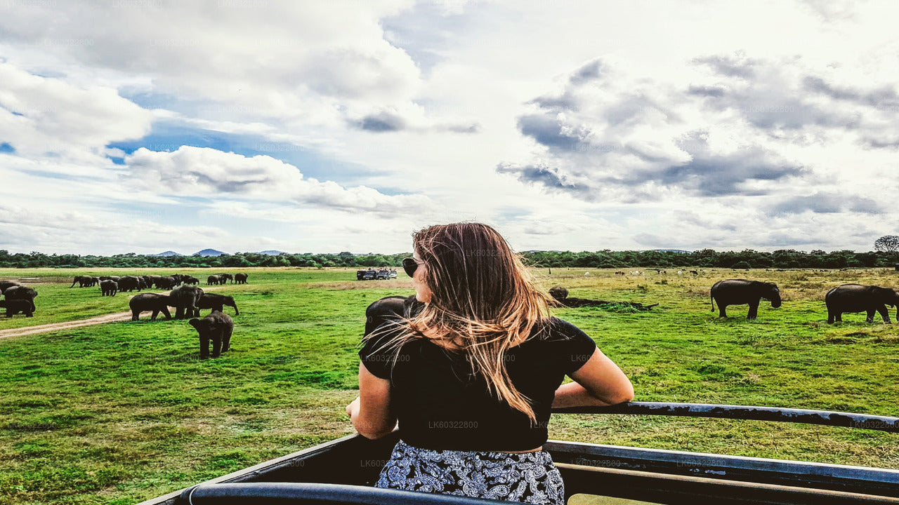 Kaudulla Nationalpark Safari fra Habarana