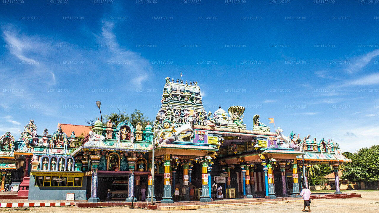 Jaffna bytur