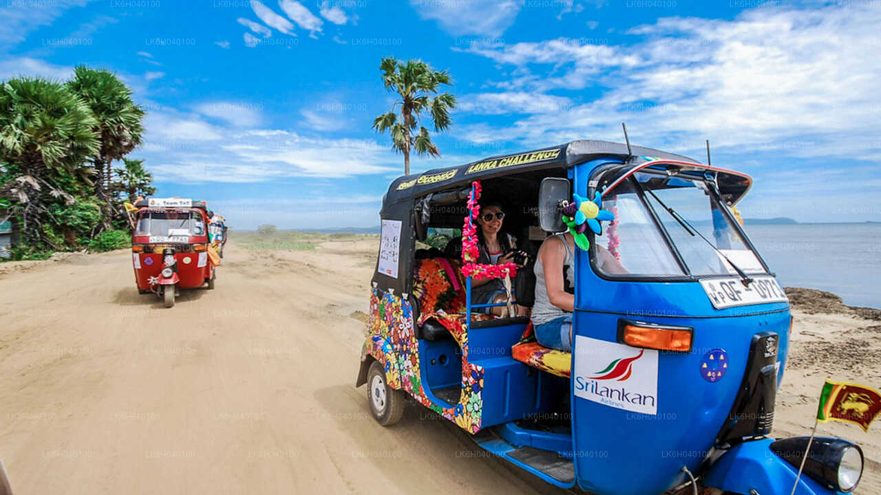 Sydkystens Tuk Tuk Safari fra Galle