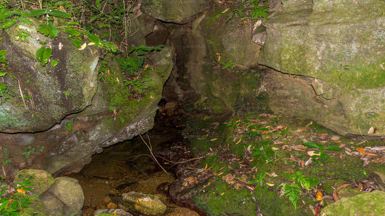 Udforsk Pannila Cave fra Colombo