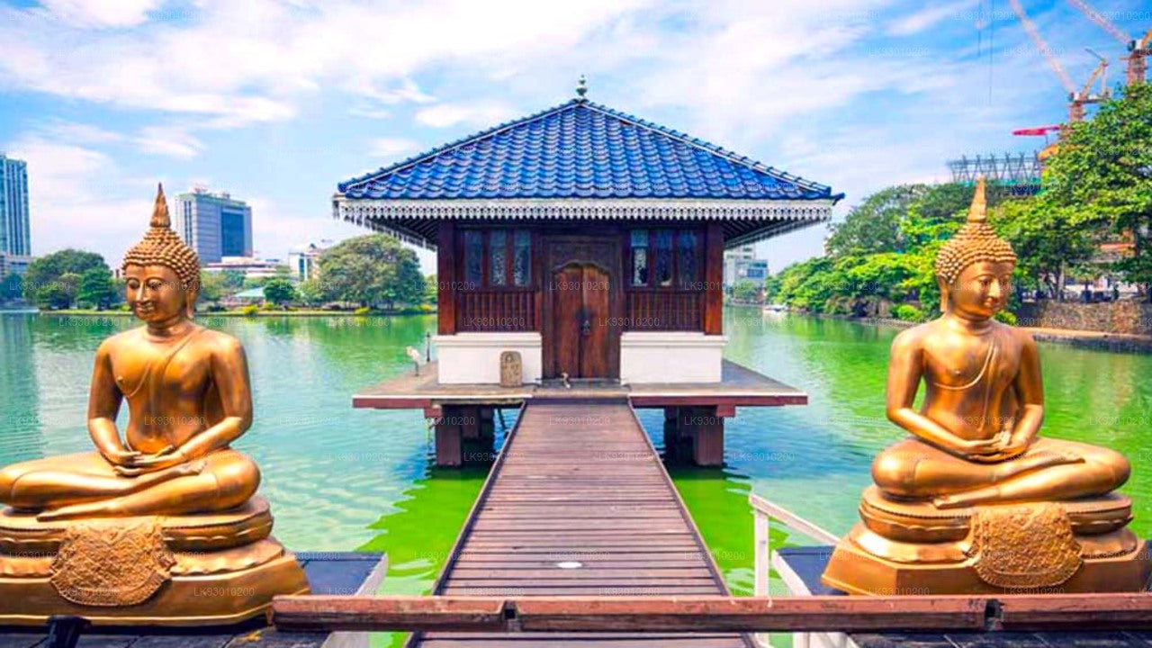 Colombo buddhistisk ikonografi oplevelse