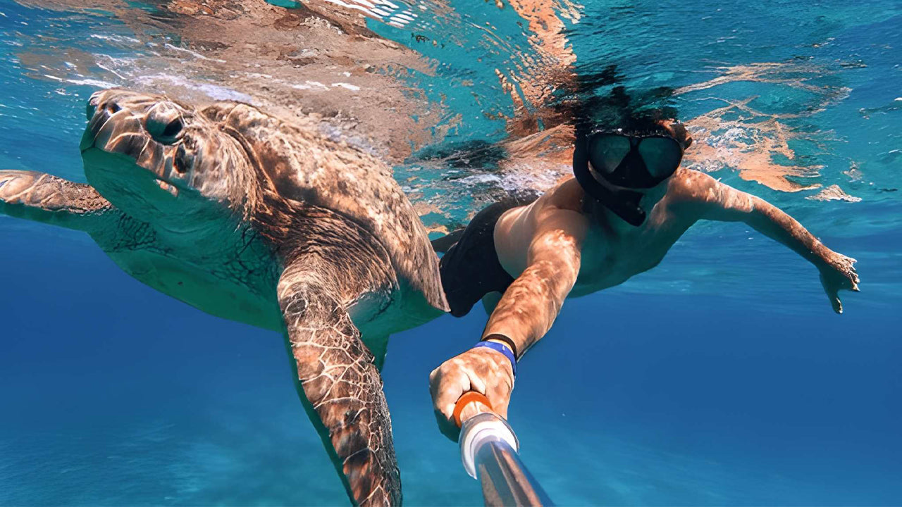 Snorkeling with Sea Turtles