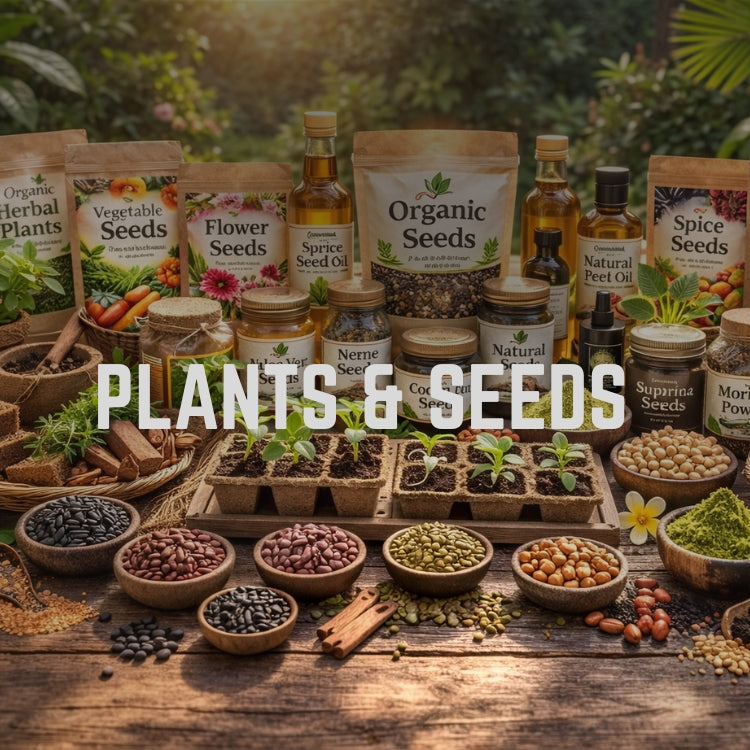 Plants and Seeds