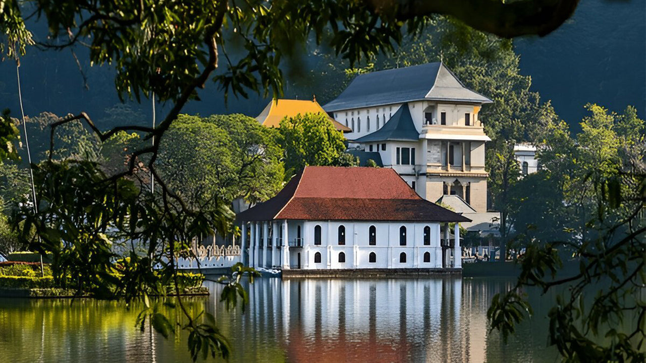 A Week In Paradise by Motorbike