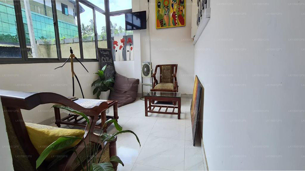 Ceylon Lodge - Lufthavnstransit Hotel & Vandrehjem, Negombo