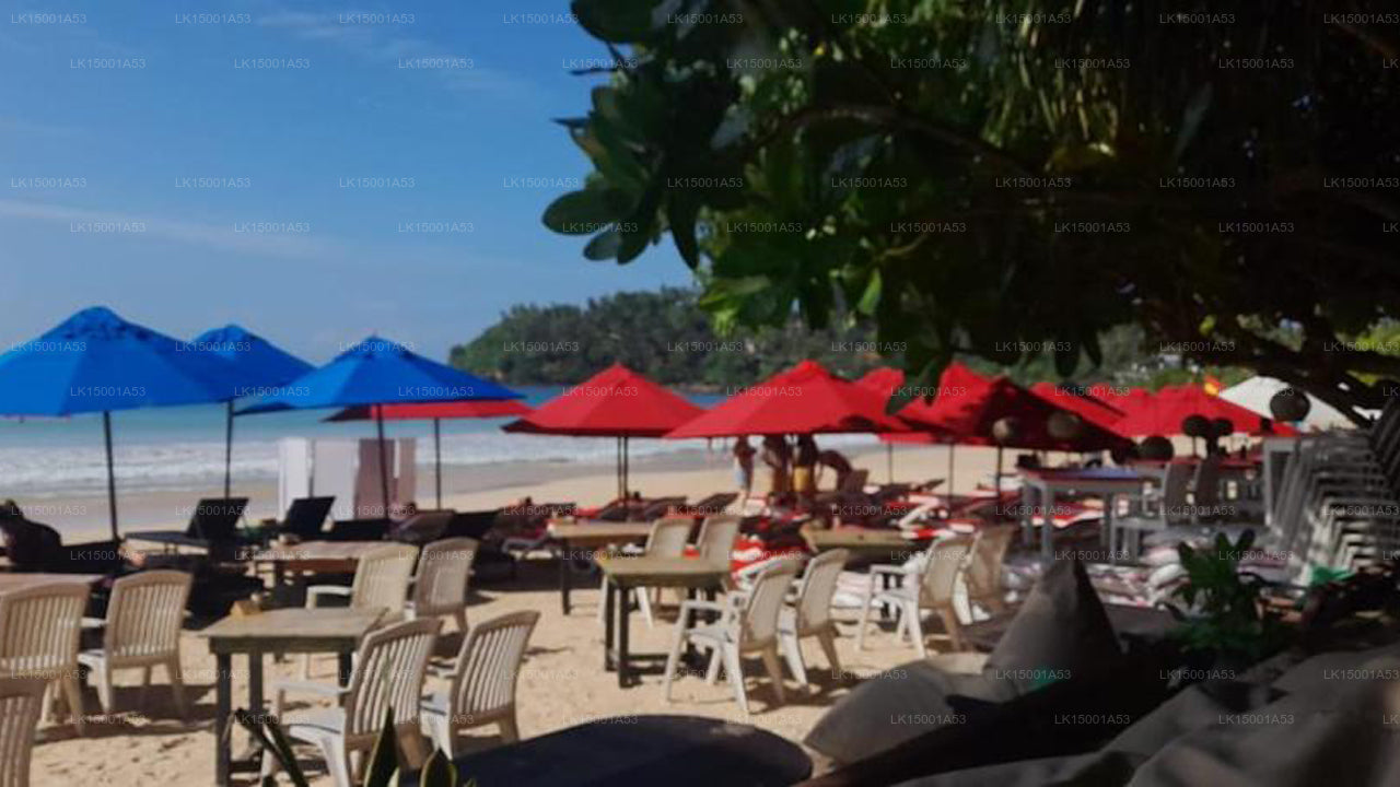 Mirissa Village, Miriss