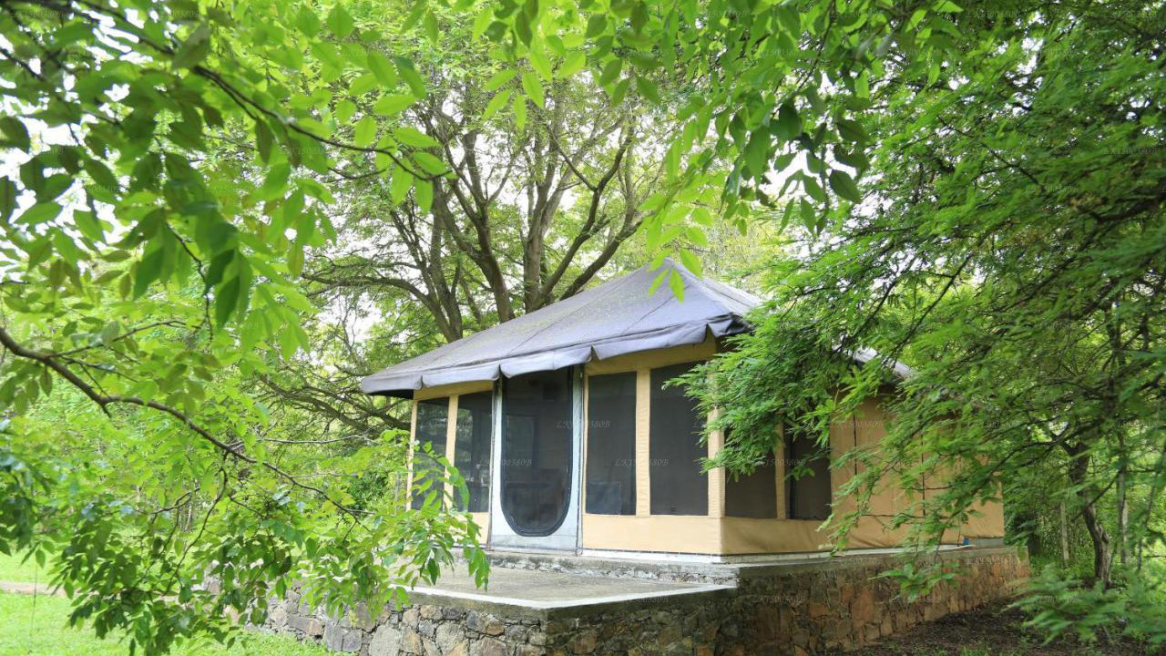 The Yala Adventure, Tissamaharamaya