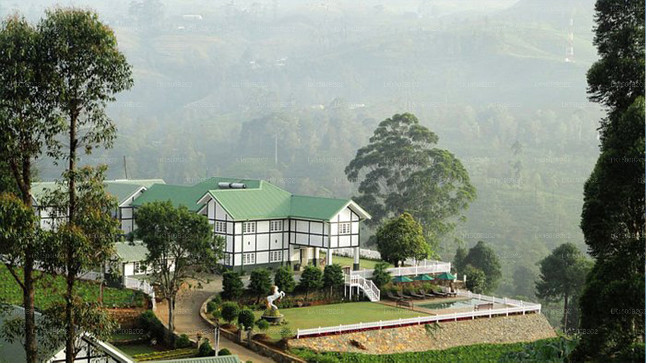 Amaya Langdale, Nuwara Eliya