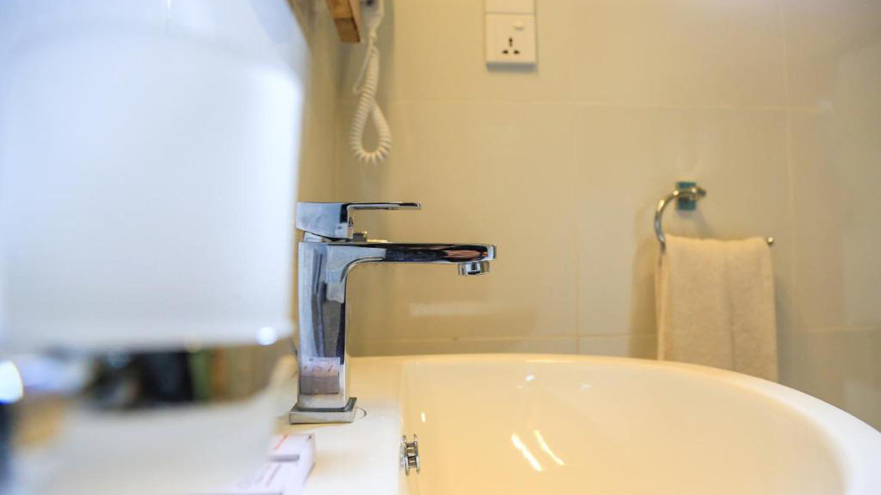 Fresco Vandvilla, Sigiriya