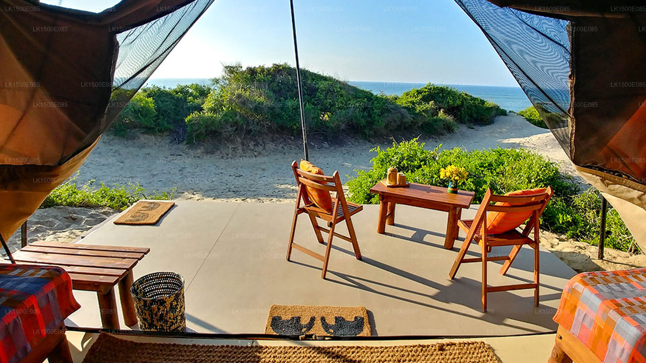 Bagsiden af Beyond - Safari Lodge, Yala