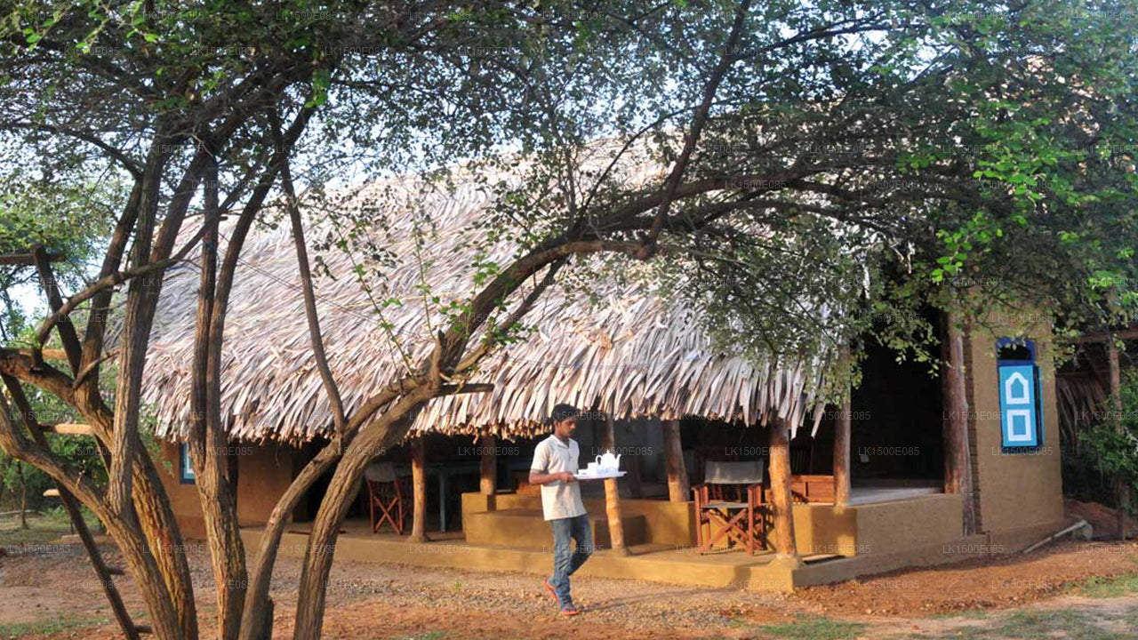 Bagsiden af Beyond - Safari Lodge, Yala