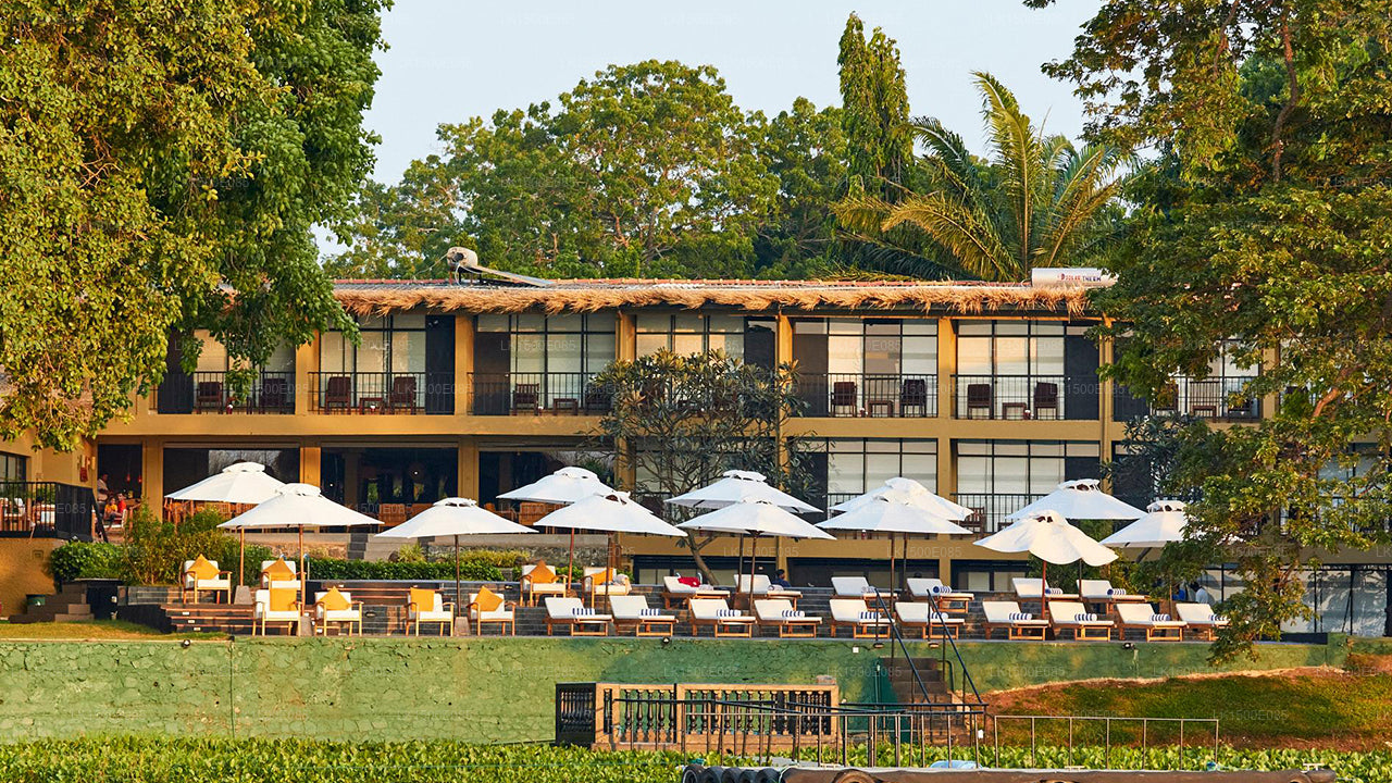 Bagsiden af Beyond - Safari Lodge, Yala