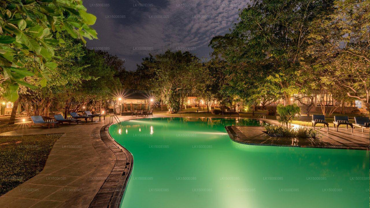 Bagsiden af Beyond - Safari Lodge, Yala