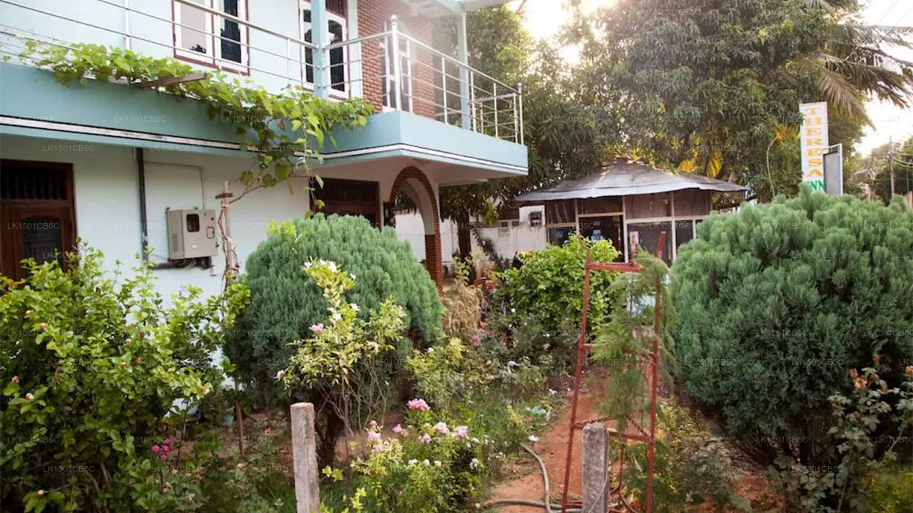 Theresa Inn, Saras Guest House, Jaffna