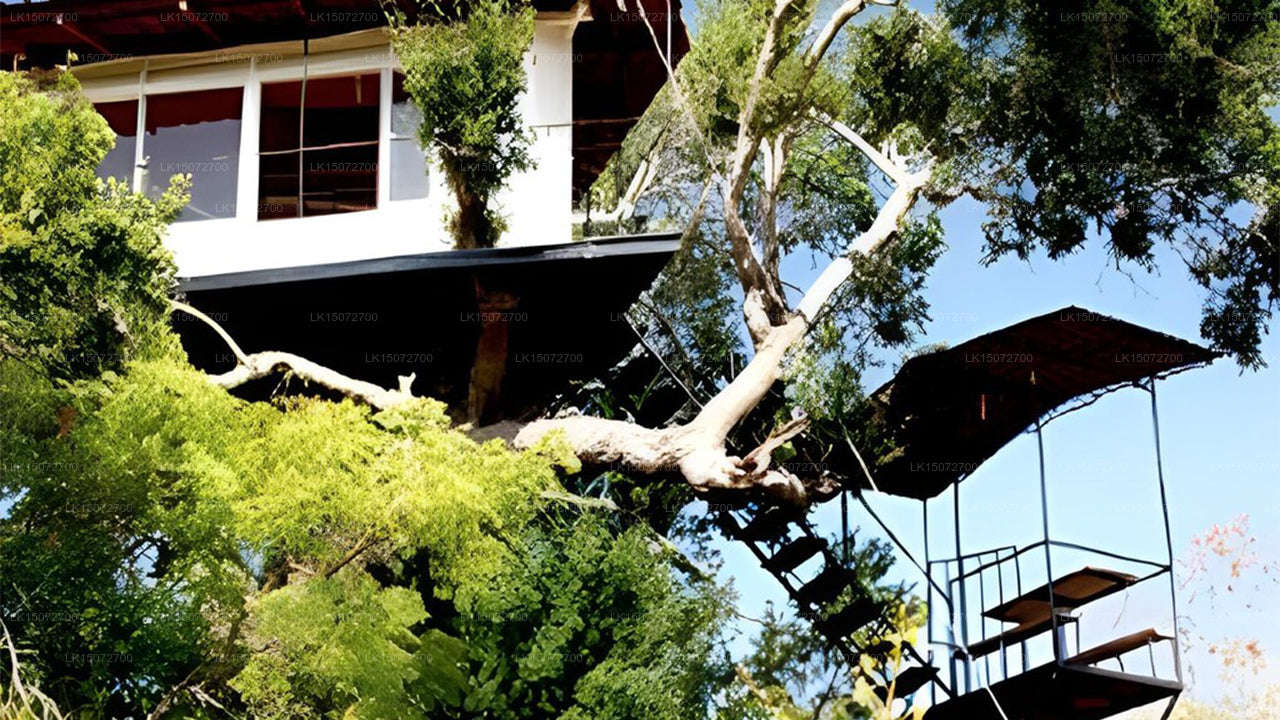 Tamarind Shade Holiday Bungalow, Yala