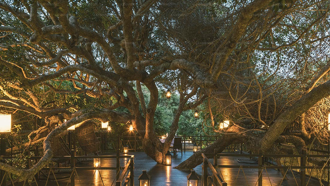 Uga Jungle Beach, Trincomalee