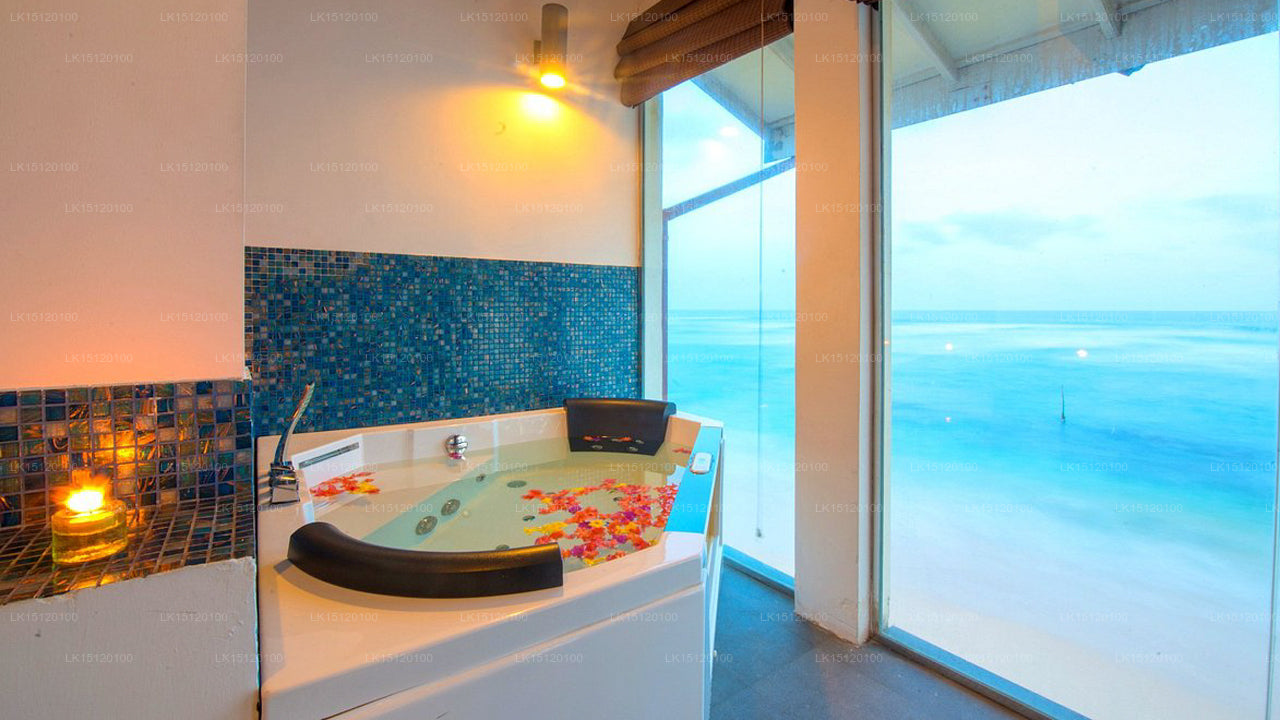 Cantaloupe Aqua, Thalpe