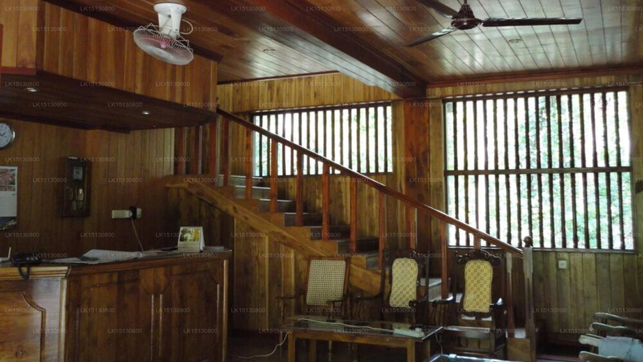 Tikiri Villa, Mahiyanganaya