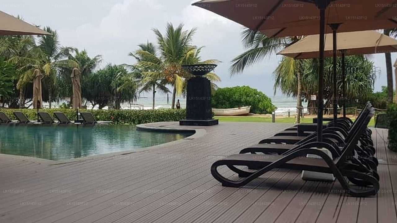 Hoteller i nærheden af Weligama Bay Marriott Resort & Spa, Weligama